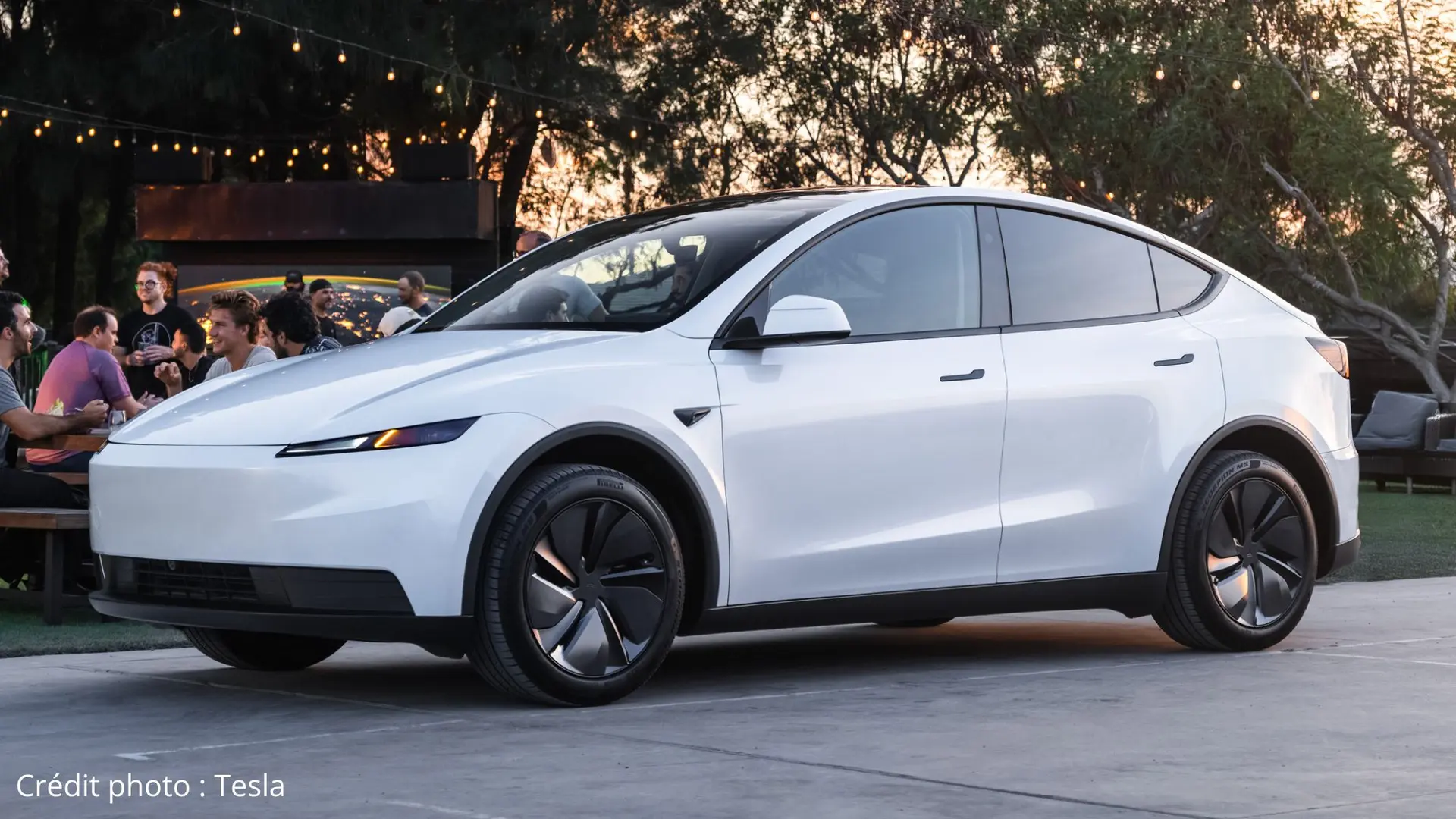 Tesla Model Y Standard